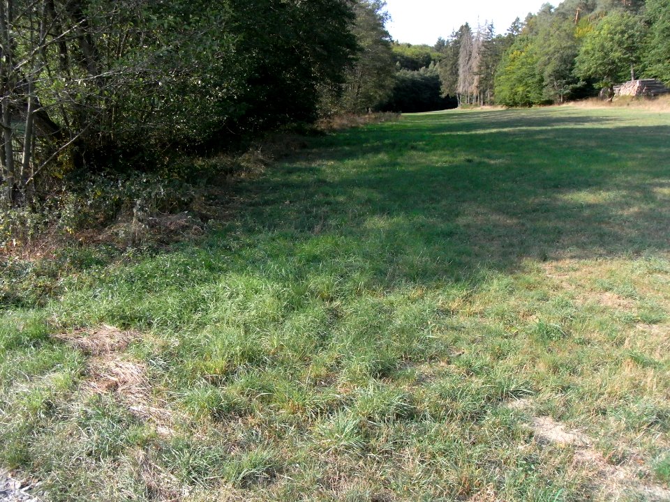 Michelbach Weg Herrnholz Tal aufwärts R0020134