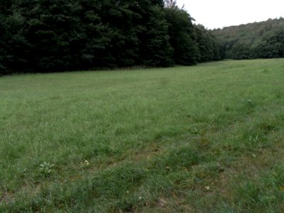 Michelbach Auwiese aufwärts R0019165