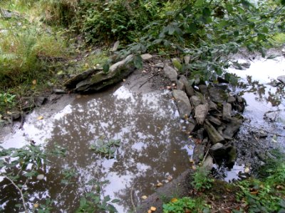 Michelbach aufgestaut mit Mündung Markbach R0019725