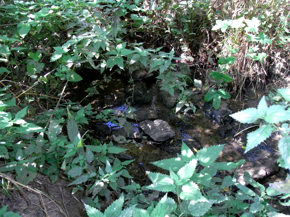 Michelbach bei Mündung Zufluss Im Linker R0020072