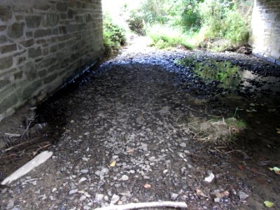 Michelbach Brücke Die neuen Wiesen R0018414