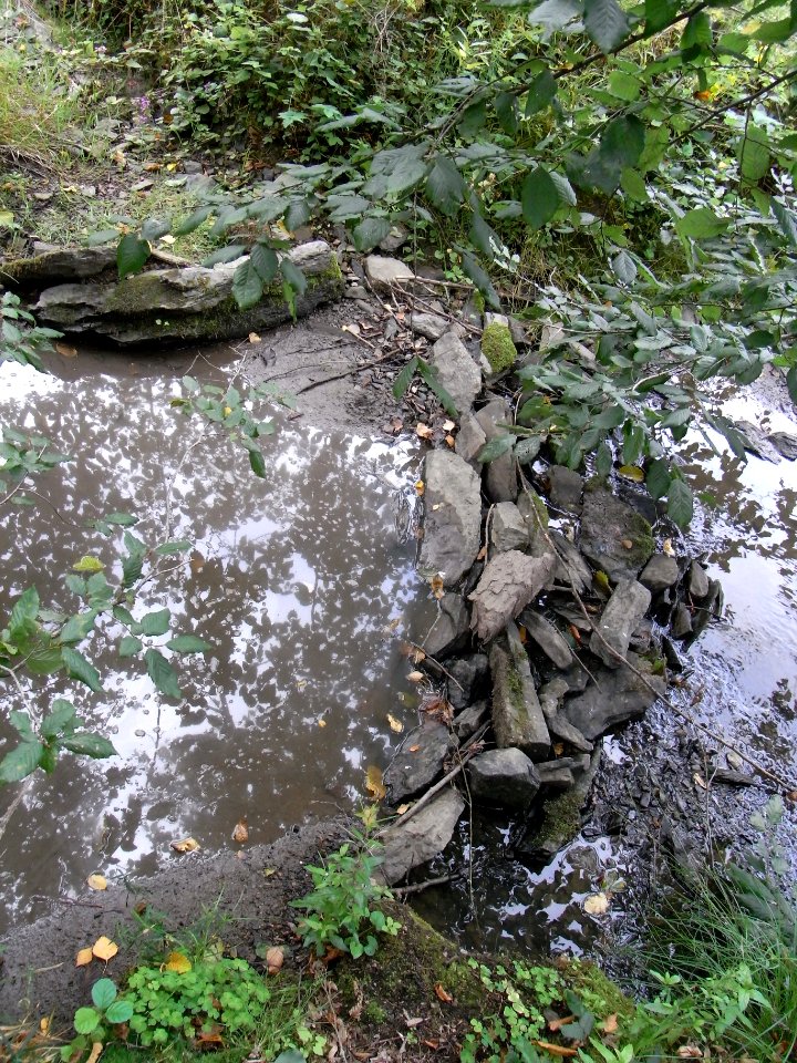 Michelbach aufgestaut mit Mündung Markbach R0019724