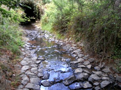 Michelbach Befestigung an Brücke K 724 R0018479