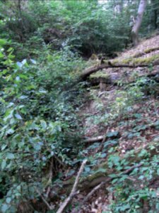 Michelbach Zufluss 24848294 unter Quellgebiet R0018832