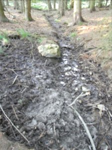 Michelbach ober Teiche im Waldriegel R0020186