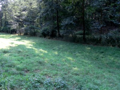 Michelbach ober Teiche R0020139
