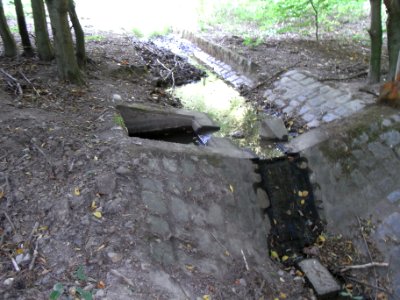 Michelbach obere Teiche Rinne von Wiese Anzapfung R0020173