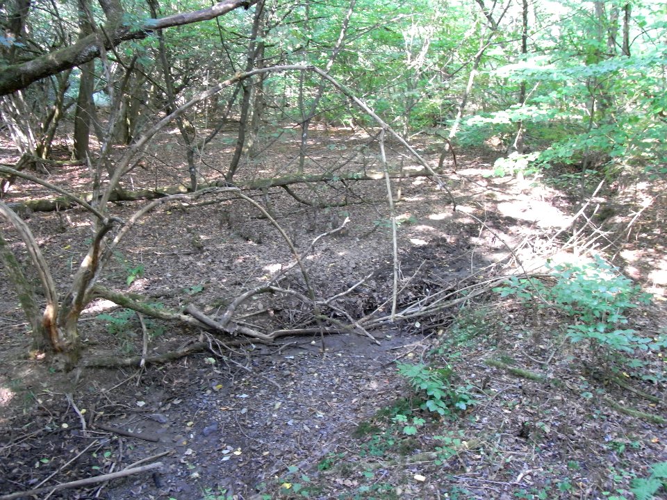 Michelbach ober Weg R0020148