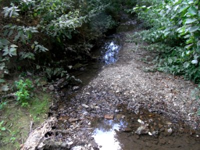Michelbach unter Brücke Die neuen Wiesen R0018410