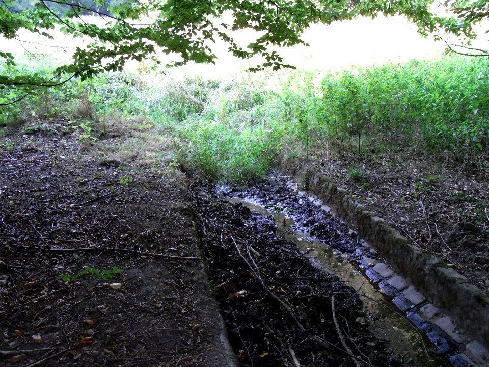 Michelbach obere Teiche Beginn Rinne an Wiese R0020175