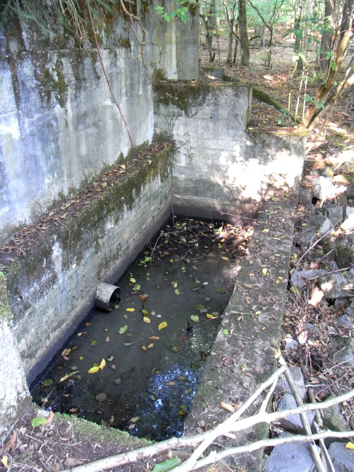 Michelbach obere Teiche Element Damm R0020156