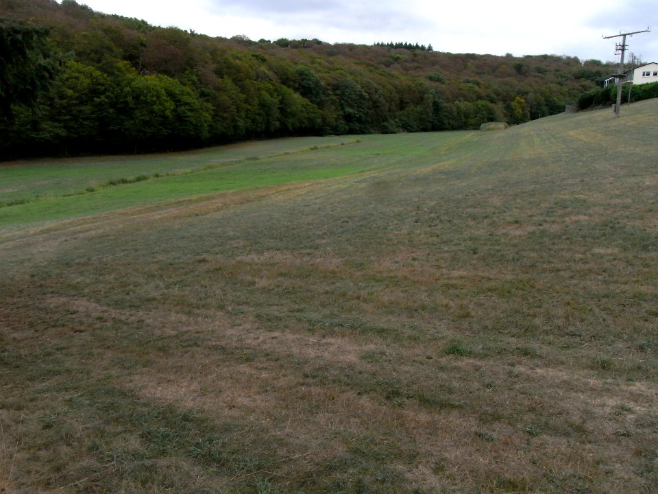 Michelbach unter Hof Waldfrieden R0019953