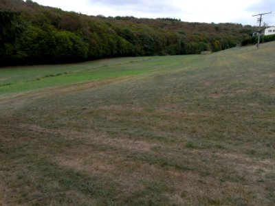 Michelbach unter Hof Waldfrieden R0019953