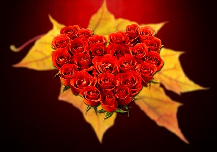 Red affection hearts