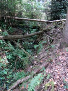 Michelbach Zufluss 24848294 unter Quellgebiet R0018835