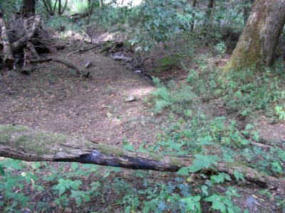 Michelbach Zufluss Brücke Mowies Quelle R0018393