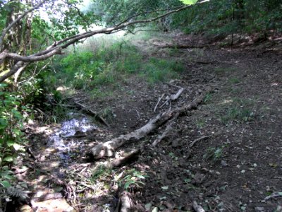 Michelbach Zufluss Dieflus Zusammenfluss? R0018749