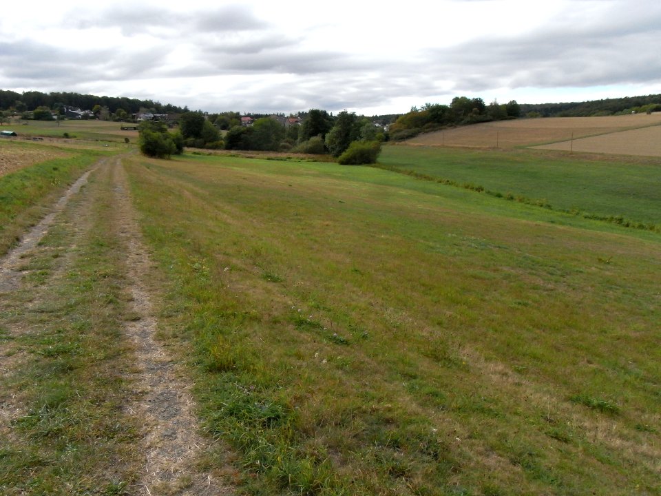 Michelbach unter Kläranlage R0019970