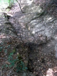 Michelbach Zufluss Dieflus am Bergsporn R0018736