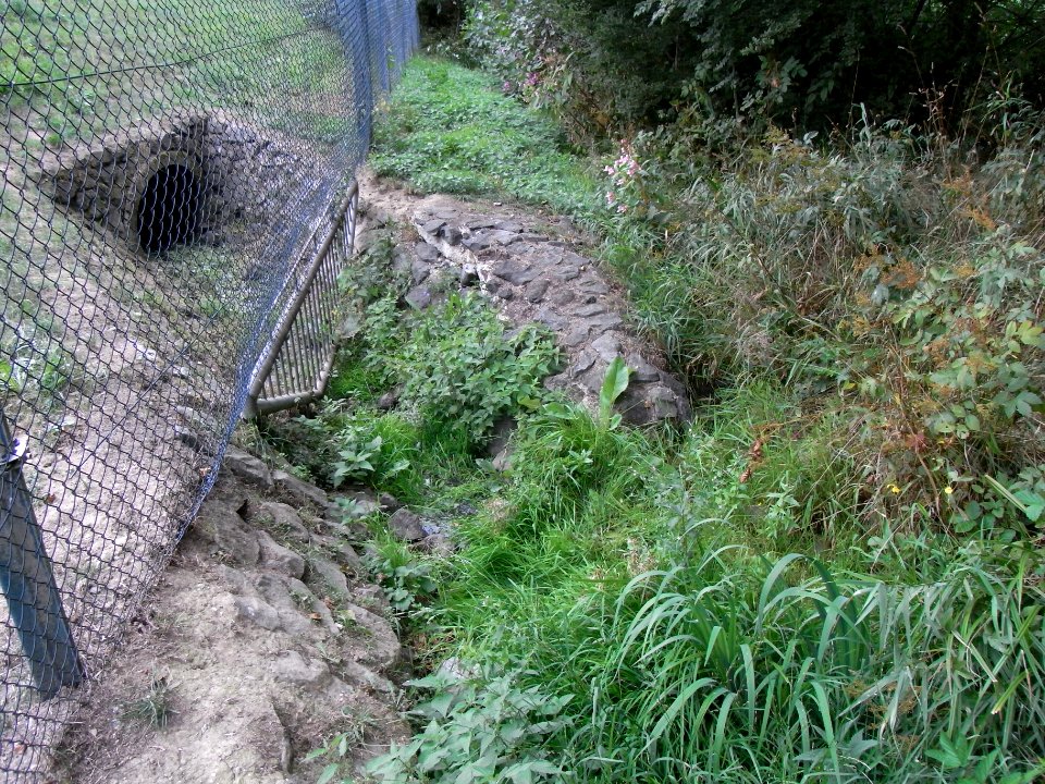 Michelbach Auslass Kläranlage R0019984