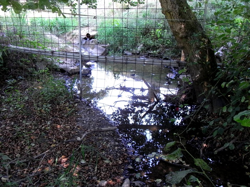 Michelbach Zaun und Auslass unter Fischteichen R0018591