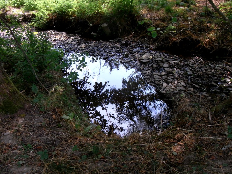 Michelbach Mündung 24848294 Grenzstein R0018768