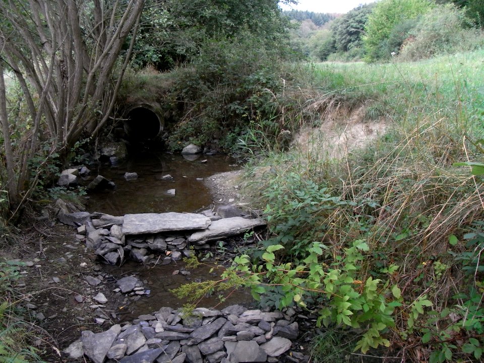 Michelbach km 3,75 Durchlass Weg Wiese unter R0019106
