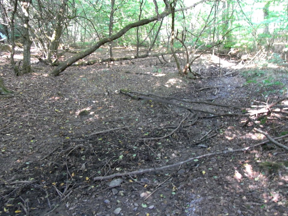 Michelbach ober Weg R0020146