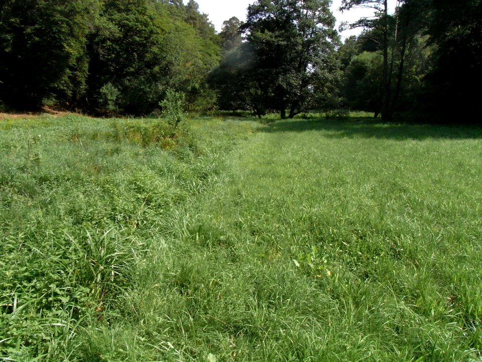 Michelbach Graben 24848294 Mündungsbereich 248482942 R0018914