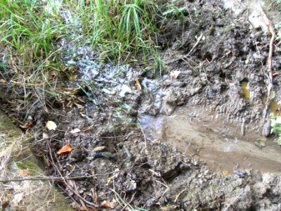 Michelbach am Beginn Rinne von Wiese R0020177