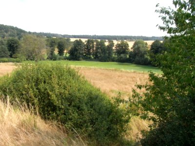 Michelbach ober Die neuen Gärten R0018554