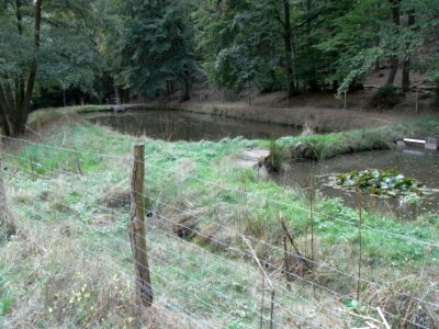 Michelbach untere Teiche Ansicht R0020226