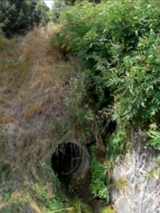 Michelbach Abwassergraben Beginn R0018426
