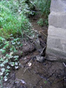 Michelbach ober Brücke Die neuen Wiesen Lindengraben mündet R0018412