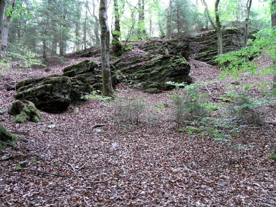 Michelbach Felsen R0019880