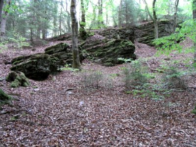 Michelbach Felsen R0019880
