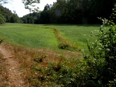 Michelbach Graben 24848294 abwärts zur Mündung R0018903