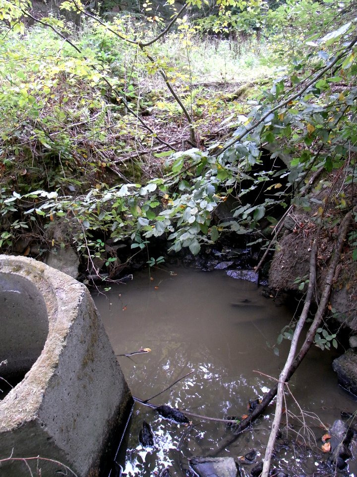 Michelbach Durchlass am Zufluss Schleichebach R0019874