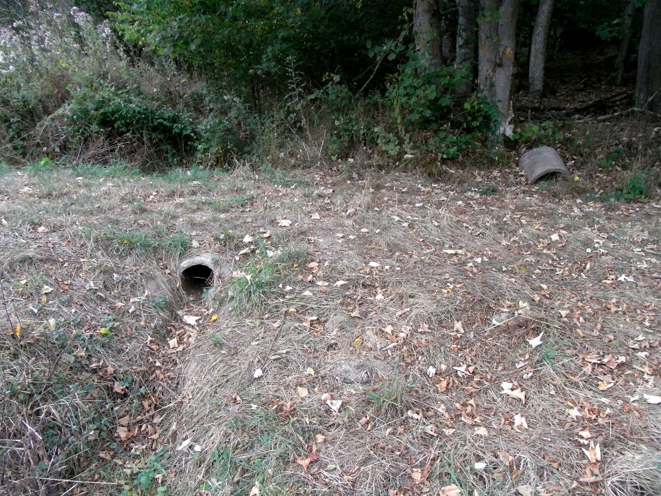 Michelbach Zufluss Engelseifen am Weg R0019939