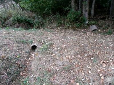 Michelbach Zufluss Engelseifen am Weg R0019939