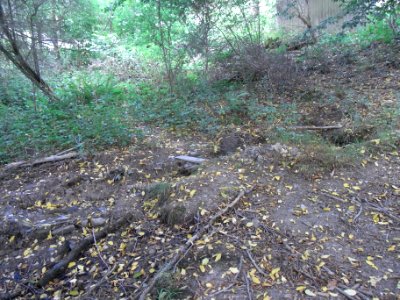 Michelbach Graben 24848294 im Wald Quellgebiet R0018882