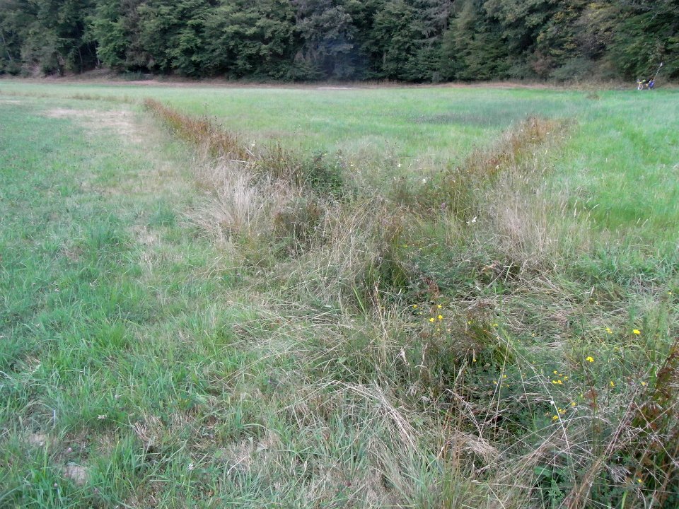 Michelbach Graben 24848294 Zufluss Mündung R0018911