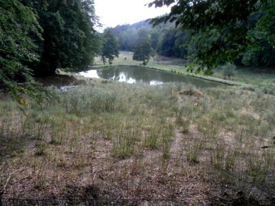 Michelbach Fischteich R0018733