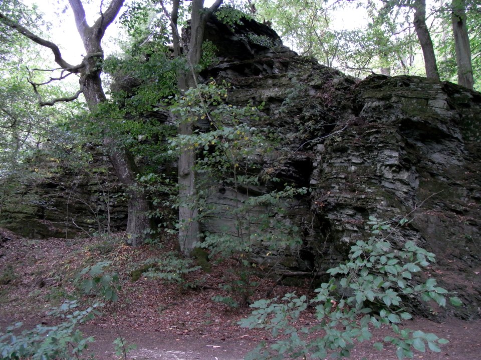Michelbach Fels R0019906