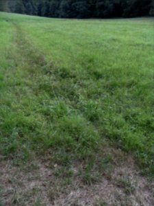 Michelbach Graben 24848294 Zufluss R0018907