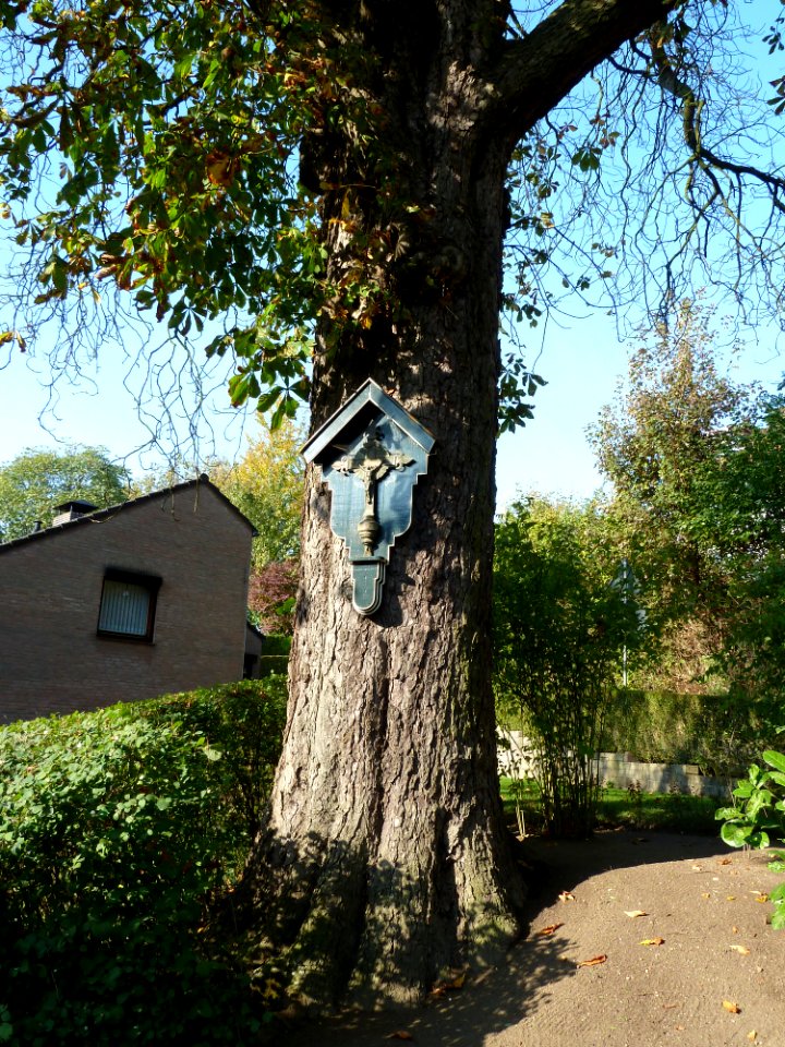 Mheer-Wegkruis Smidsberg-Dorpsstraat