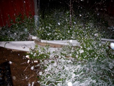 Mid May snowfall in Rochester MSA