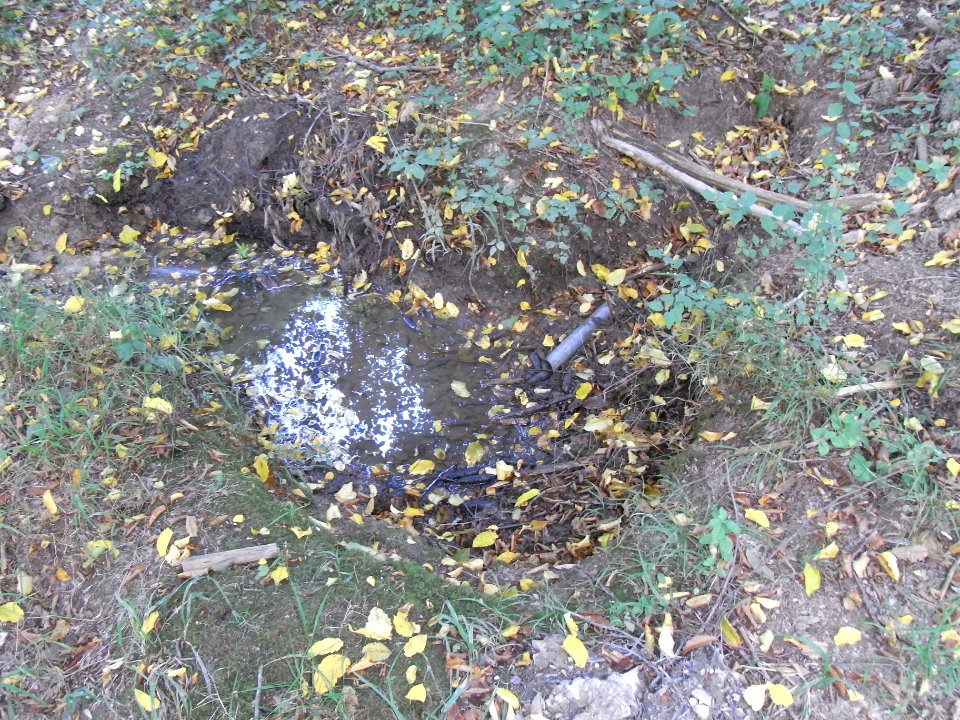 Michelbach Graben 24848294 im Wald Quelle R0018881