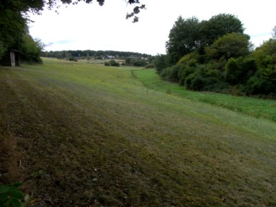 Michelbach Kreuzgewann R0019967