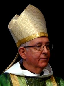 Mgr Guy de Kerimel (2015) (3)
